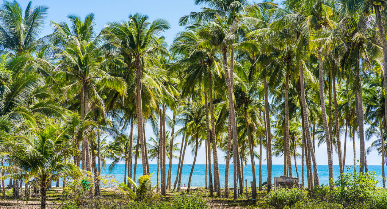 WIND, SAND AND SEA: MUI NE'S MUST-DO LIST 
